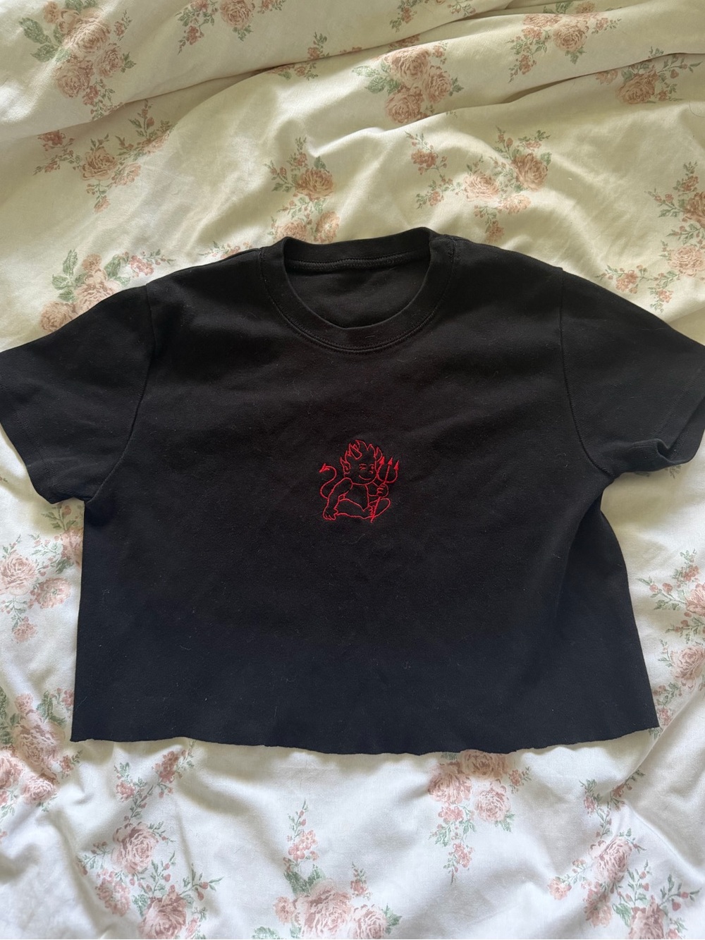 Brandy Melville Cropped Baby Tee